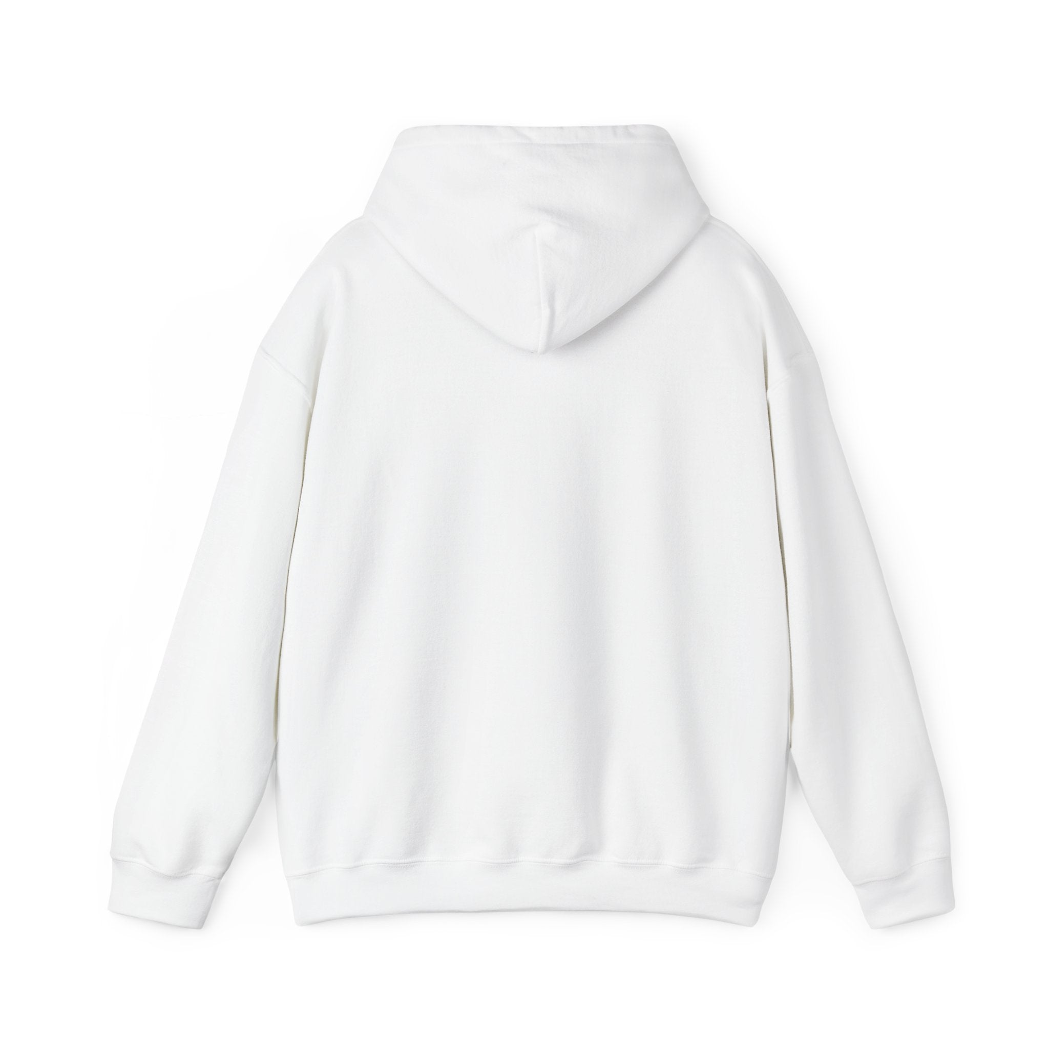 Abstract Neon Line Hoodie — Minimalist Colorful Outline Design