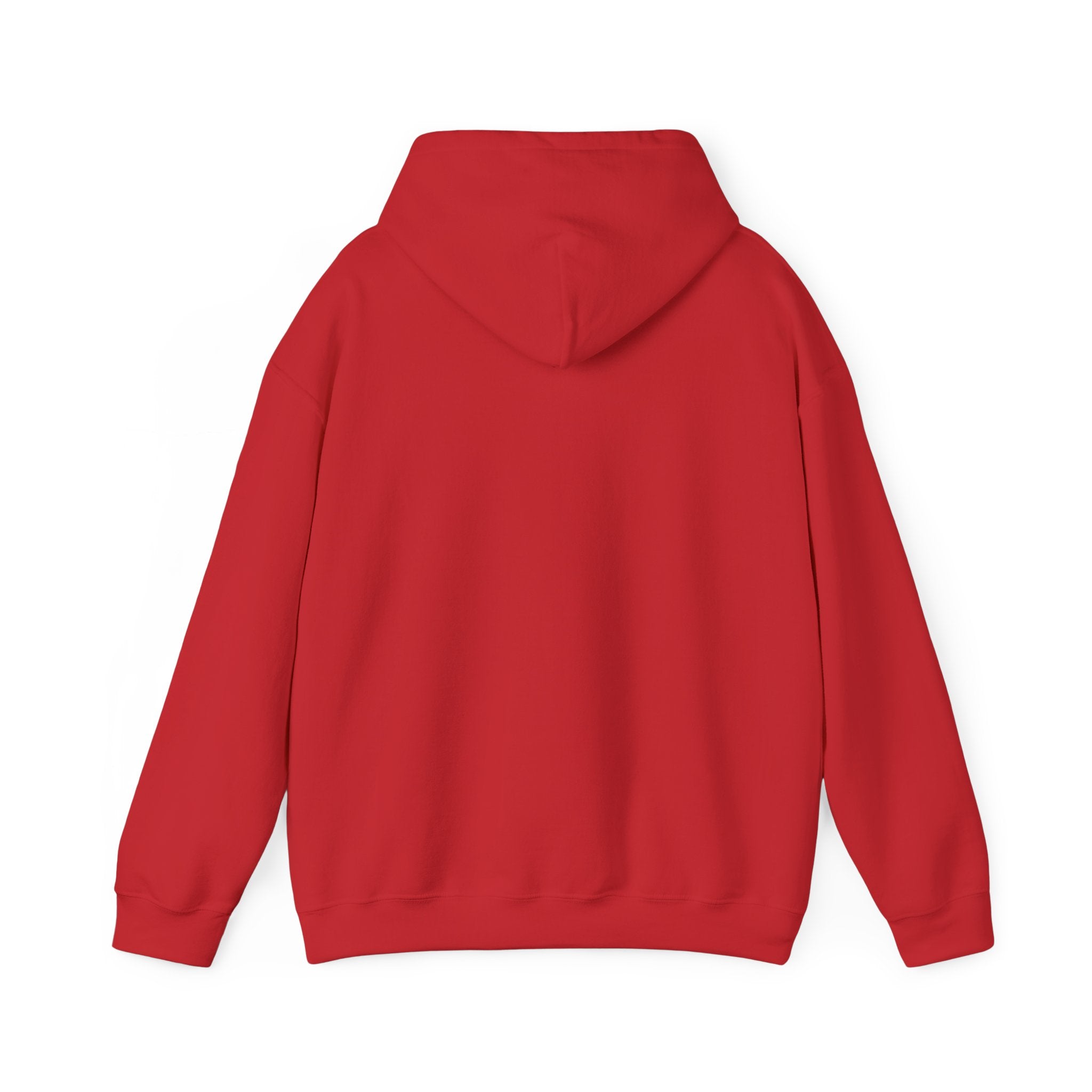 Abstract Neon Line Hoodie — Minimalist Colorful Outline Design